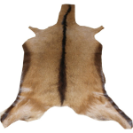 RAW GOAT SKINS