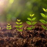 PLANT GROWTH REGULATORS